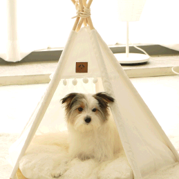 [첫구매전용] 댕루지오 포그니 텐트